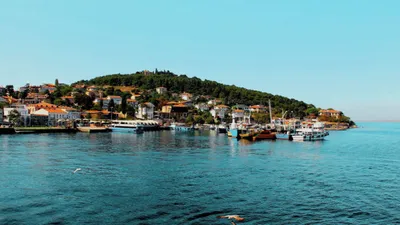 İBB'den Adalar için ''orman yangını'' tedbiri