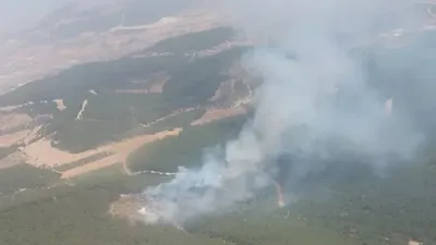 İzmir Foça'da orman yangını