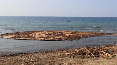Karadeniz'de sel felaketinde sürüklenen  tomruklar, balıkçılığı da vurdu