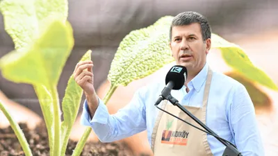 Kadıköy bostanlarına ilk tohumlar atıldı