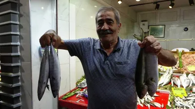 ''Müsilajın içerisine girmez'' lüfer 100 TL