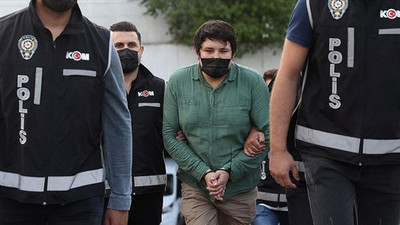 Çiftlik Bank kurucusu 'Tosuncuk' Mehmet Aydın bakın hangi oyundan esinlenmiş!