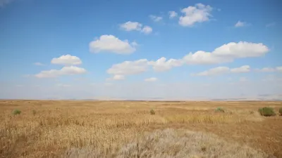 Tamamen kuruyan Akşehir Gölü'nde umut veren gelişme