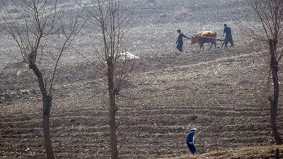 Kuzey Kore’de alarm: Birçok insan kış aylarında açlıktan ölebilir