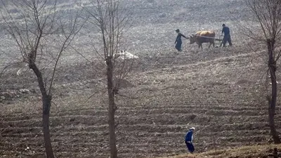 Kuzey Kore’de alarm: Birçok insan kış aylarında açlıktan ölebilir