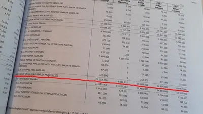 2022 bütçesinde dikkat çeken erken seçim ayrıntısı