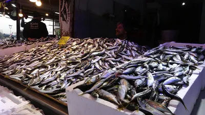 Hamsi de lüks oldu: Fiyatını gören inanamadı