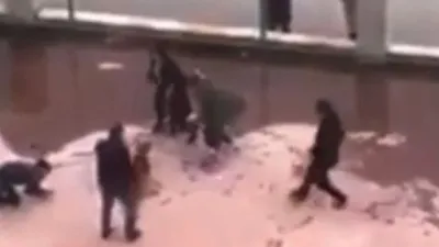 Pitbull dehşetinde site yöneticisinin ifadesi ortaya çıktı