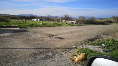 Doğukan Manço kamerayı açıp isyan etti