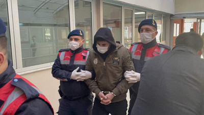 PKK'lı terörist kardeşler yakalandı