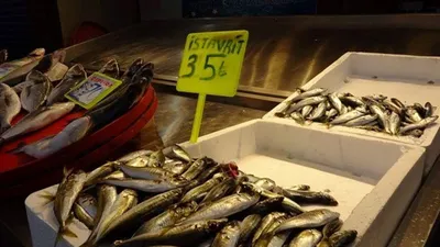 Soğuk havayla birlikte balık fiyatları uçtu