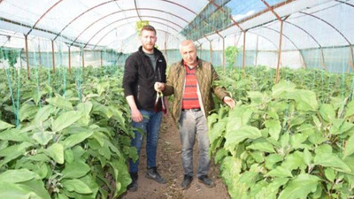 Soğuk hava sebze-meyveyi vurdu! Fiyatlar resmen uçtu