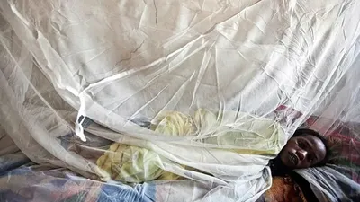 Lassa ateşi salgınında can kaybı 40'a yükseldi