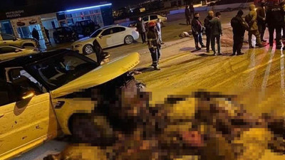 Lüks cipiyle aralarına daldı! 56 koyun, 2 eşek telef oldu