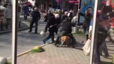 ''Köpekleri bırakın, bu sorumsuzları toplayalım'' demiştik! Cezası belli oldu