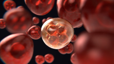 Yeni koronavirüs aşısından ilk test sonuçları geldi