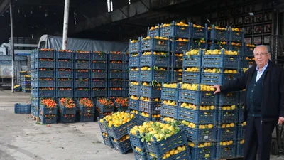 Sebze-meyve elde kaldı; fiyatlar dip yaptı!