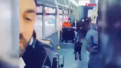 İstanbul'un gezgini Zeytin İETT otobüsünde keyif yaparken görüntülendi