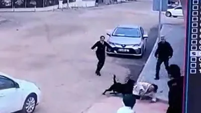 Bahçeden kaçan Rottweiler köpek 2 kadına kabusu yaşattı