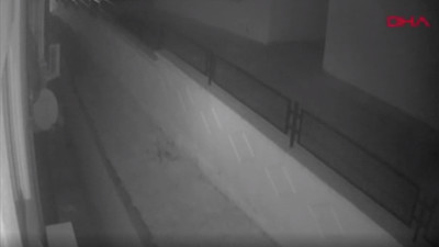 Polisten '18 evi soyan 'kedi''ye suç üstü