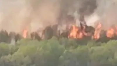 Ermenistan, Türkiye sınırındaki Ormanı bilerek ateşe verdi