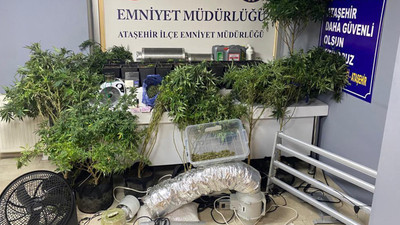 Lüks dairede şoke eden manzara! Uyuşturucu serasına çevirmişler