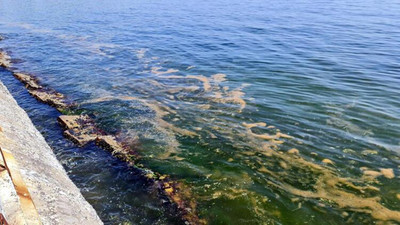 Marmara'ya geri dönen müsilaj kabusu için bir korkutan uyarı daha