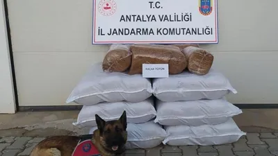 Yolcu otobüsünde 210 kilogram kaçak tütün ele geçirildi