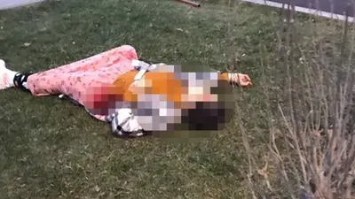 Parkta yürürken 16 yerinden bıçaklanarak öldürülmüştü: Kan donduran gerçekler ortaya çıktı