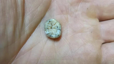 Tarihi değiştiren keşif: 130 bin yıl önce yaşayan çocuğa ait diş bulundu