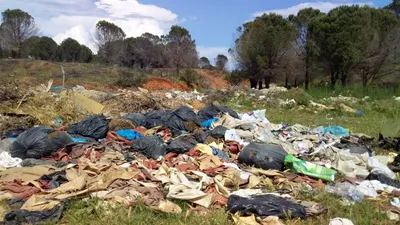 Manavgat'ta isyan ettiren görüntü! Orman yangınından sonra bu hale geldi