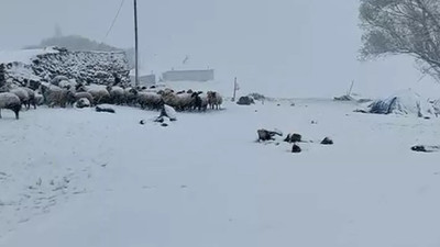 Kara kış bitmek bilmiyor: Kar kalınlığı 5 santimetreye ulaştı