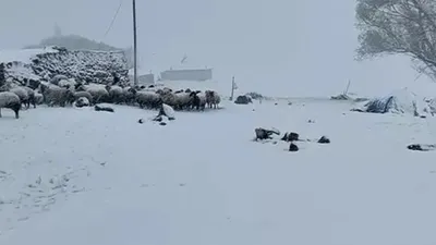 Kara kış bitmek bilmiyor: Kar kalınlığı 5 santimetreye ulaştı
