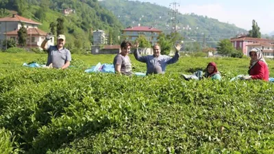 Rize'de nüfus 4'e katlandı