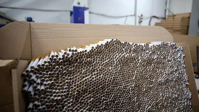 Bursa'da 50 milyon makaron ele geçirildi