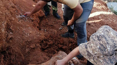 Türkiye'de dev keşif! 4 şaşırtıcı devin 8 milyon yaşındaki fosilleri bulundu