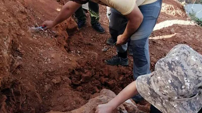 Türkiye'de dev keşif! 4 şaşırtıcı devin 8 milyon yaşındaki fosilleri bulundu