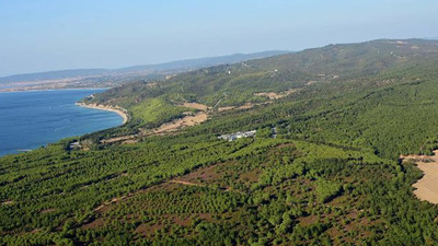 Bir ilde daha ormanlara giriş yasaklandı