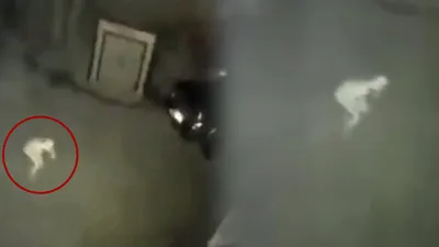 Korku filmi değil gerçek! Sosyal medyayı karıştıran görüntü: Gizemli yaratık...