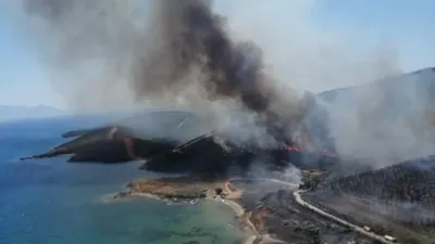 İzmir'de iki noktada orman yangını