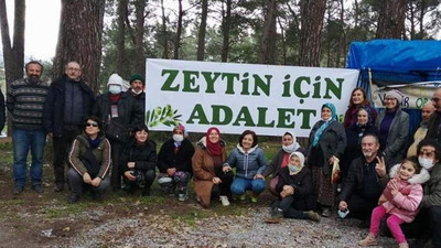 Danıştay, zeytinlikleri kurtardı