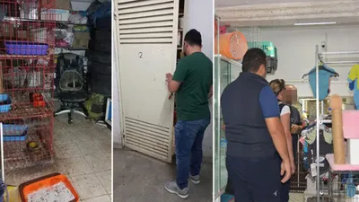 Merdiven altı evcil hayvan satışına ceza yağdı