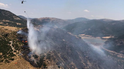 Çanakkale'de orman yangını