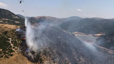 Çanakkale'de orman yangını
