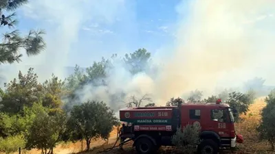 Manisa'da 2 ilçede orman yangını