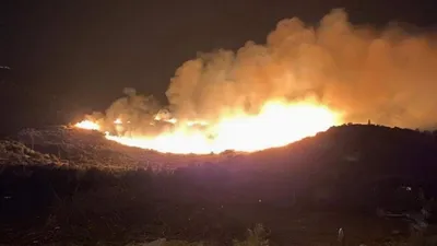 Söke’de orman yangını