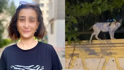 Görenler şoke oldu: Çuval içine koyup otobüse bindi