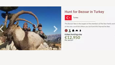 Nesli tükenme tehlikesindeki canlılar için Türkiye safarisi başlatılar