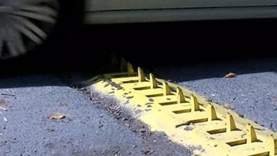 Belgrad Ormanı’nda ''kapan'' fırsatçılığı