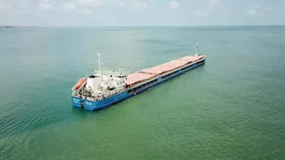 Ukrayna'dan 1 gemi daha yola çıktı